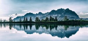 nature-photography-at-its-best